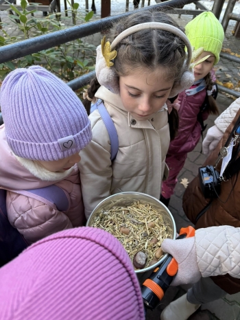 571342323_1398014278992585_9183966998876249167_n