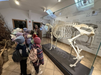 572011905_1398013955659284_6658001059388470797_n