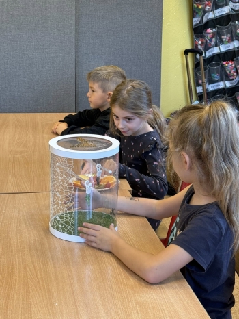 576527102_1405437141583632_1151197711421184451_n