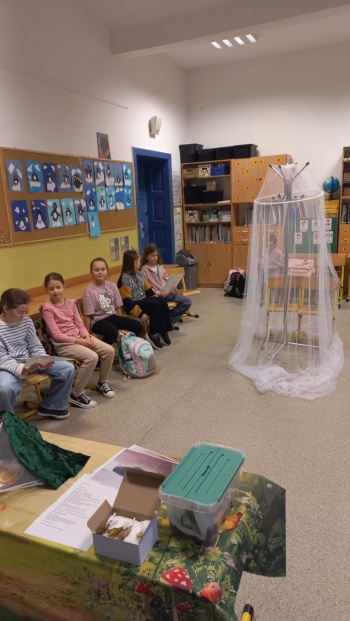 619349078_1475214967939182_9100533253900148361_n