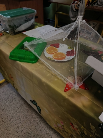 619519374_1475214747939204_7234034692472503835_n