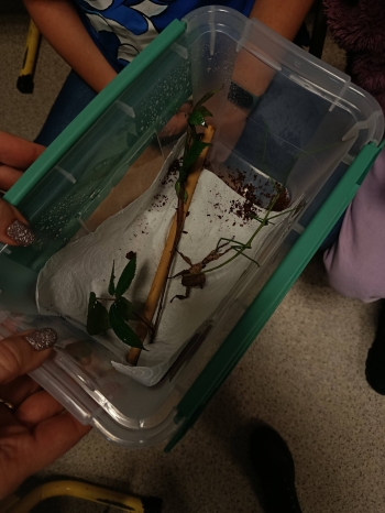 621890921_1475215277939151_379684854067938846_n