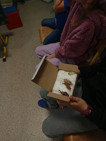 622356239_1475214911272521_6352036550594178534_n