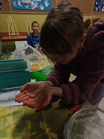 622568041_1475215214605824_7750935656180638014_n